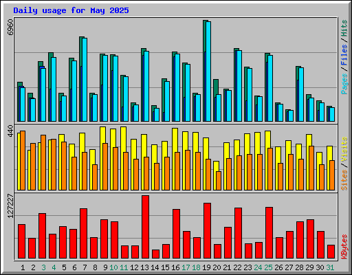 Daily usage for May 2025
