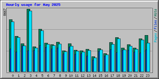 Hourly usage for May 2025