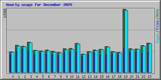 Hourly usage for December 2025