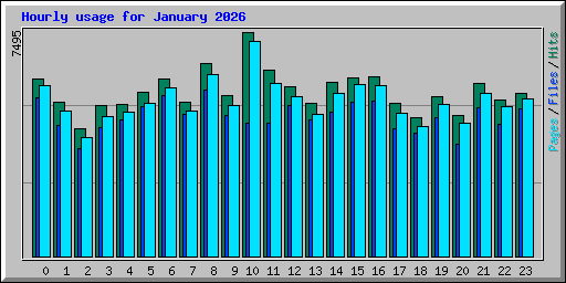 Hourly usage for January 2026