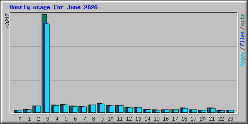 Hourly usage for June 2026