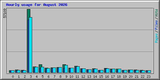Hourly usage for August 2026